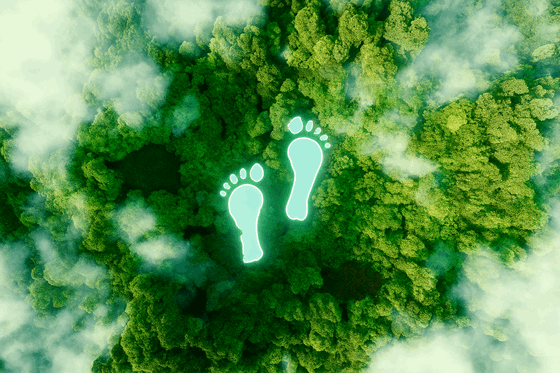ECO Footprint AI.png