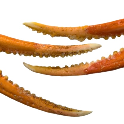 LÆR MER: Hva er kompleksdannere?